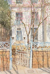 The Judas Tree